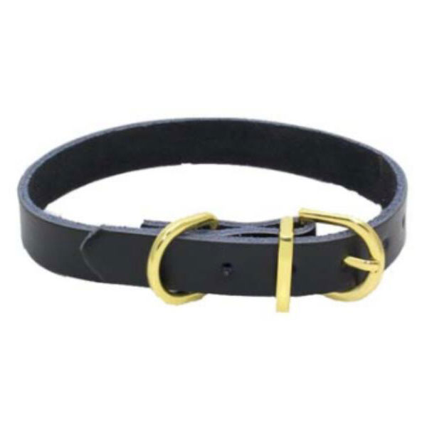 Leather Pet Collar Gold Ring
