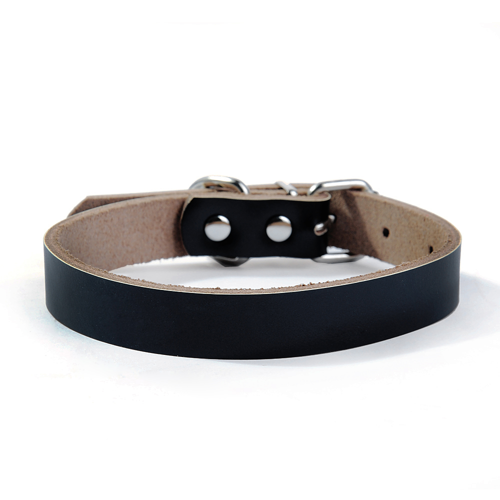 Premium Leather Dog Collar