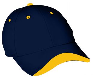 NAVY/GOLD