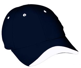 NAVY/WHITE