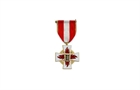 Picture of LAPEL PIN5