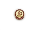 Picture of LAPEL PIN21