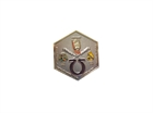 Picture of LAPEL PIN47