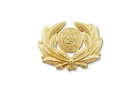 Picture of LAPEL PIN53