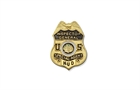 Picture of LAPEL PIN56