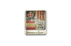 Picture of LAPEL PIN70