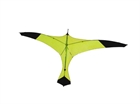 Picture of KITES13
