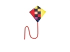 Picture of KITES21