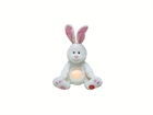 Picture of PLUSH TOYS120