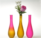 Picture of VASES3