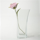 Picture of VASES12