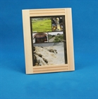 Picture of WPF11