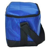 Picture for category Cooler Bags